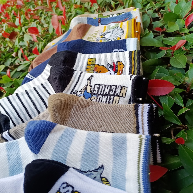 Kids Dinosaurs Design 6Y-8Y Cotton Socks Set of 10 Pairs KS72
